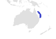 Tropical Sawshark Range.png