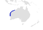 Western Angelshark Range.png