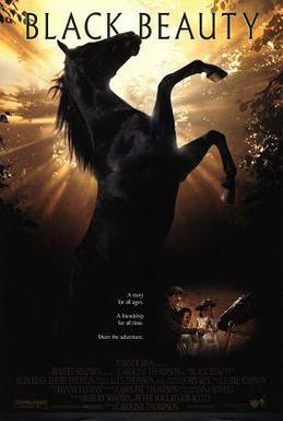 Black Beauty, a 1994 film.jpg