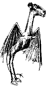 Nj devil notgreyscale