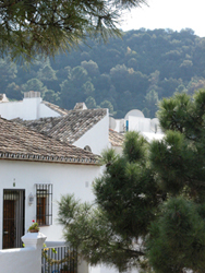 Benahavis.roof.detail.2.jpg