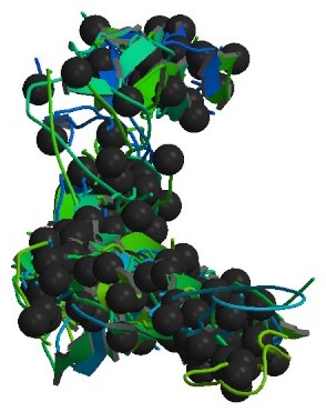 COL1A1 protein - PDB rendering based on 1y0f