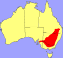 Maccullochella-peelii-dist