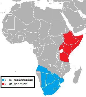 Canis mesomelas subspecies range.png