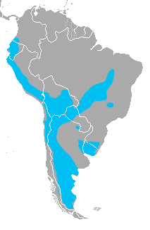 Leopardus colocolo range map.png