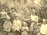 Ukranian immigrants cropping yerba mate in Tres Capones, Misiones