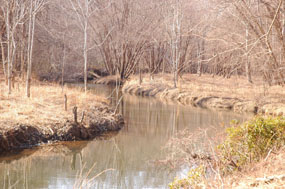 Chopawamsic Creek.jpg