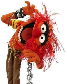 Animal (Muppet).jpg