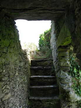 Bawn Steps