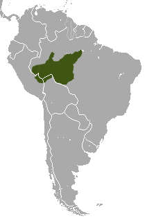 Rio Tapajos Saki area.png