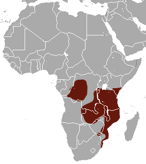 Four-toed Elephant Shrew area.png