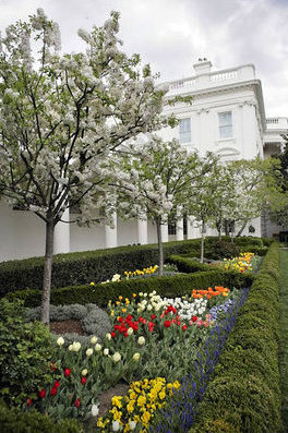 White House Rose Garden