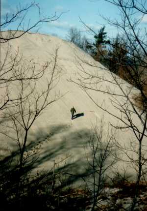 Indiana dunes