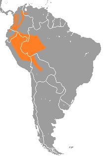 Dinomys branickii range map.png