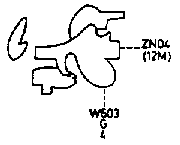 ABComp65