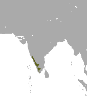 Jerdon's Palm Civet range.png