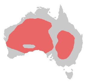 Bird range major mitchells cockatoo.png