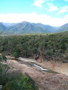 Andohahela NP