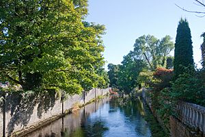 Athenry Clareen River 2009 09 13