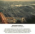 Beaufort scale 8