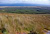 Beinn Tart A' Mhill summit.jpg