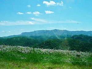 Black Mountain (Kentucky)