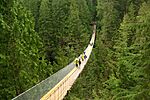 Capilano suspension bridge -a.jpg