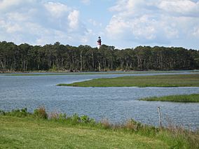 Chincoteague National Wildlife Refuge 1.jpg