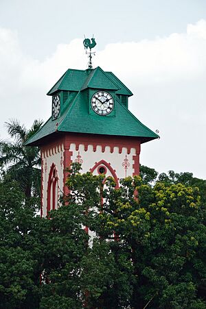 Clock Tower - Bengal Engineering and Science University - Sibpur - Howrah 2013-06-06 8569