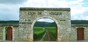 Clos de Vougeot 01