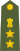 Colonel of the Indian Army.svg