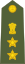 Colonel of the Indian Army.svg