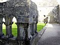 CongCloisters