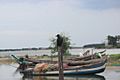 Crow still in Pulicat lake