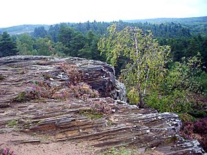 Devil's Jumps, Churt 2