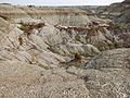 Dinosaur Provincial Park 20