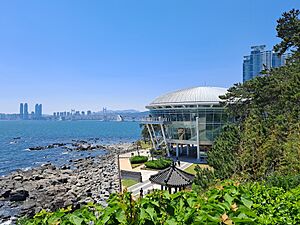 Dongbaekseom, Busan (2)