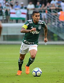 DuduPalmeiras2018