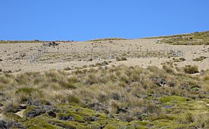 Exclusion plot on Island Saddle