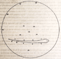 Faraday Gymnotus 1838