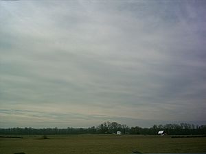 Farmland in Sealston