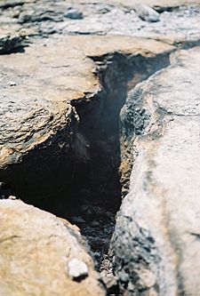 Fumarole, Steamboat Springs, Nevada.jpg