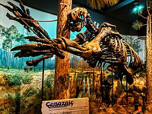 Giant ground sloth