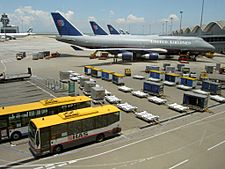 HKIA Apron