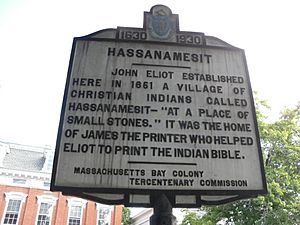 Hassanamesit marker