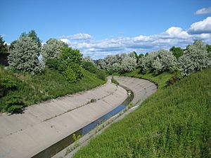 Highland Creek tributary