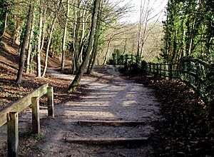 Humber Bridge Country Park, Hessle - geograph.org.uk - 292805