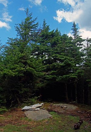 Kaaterskill High Peak summit