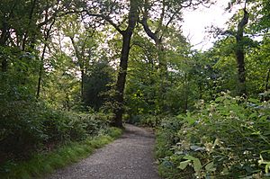 Ken Wood, Hampstead Heath 2.JPG