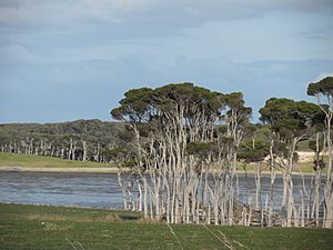 Lake Flannigan 4 June 2015